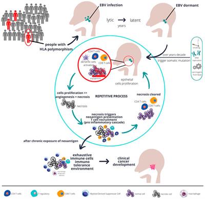 Deciphering Driver of Nasopharyngeal Cancer Development